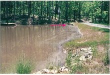 33-37728-pond_finished_summer00.jpg