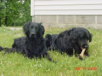 35-167735-Maggie&Lilly.JPG