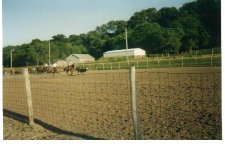 33-37920-arena4.jpg