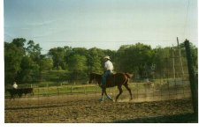 33-37921-arena.jpg