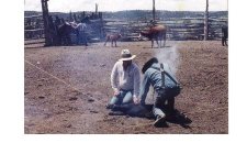 33-37925-arena7.jpg