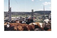 33-37926-8.jpg