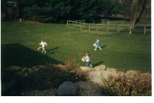 33-37934-arena15.jpg