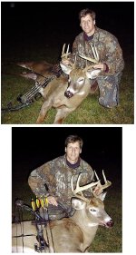 13-65284-deer.jpg