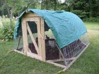 314917-chicken pen.jpg
