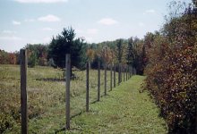 315294-fence.jpg