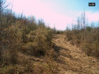 264396-Im000460s.jpg