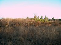264399-adair10.jpg