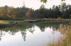 315514-pond4.jpg