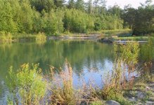 315518-pond6.jpg