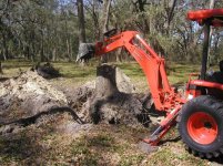598432-L39 Stump.jpg