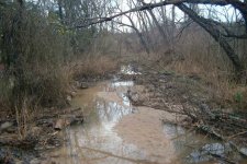513726-Sandcreek00.jpg