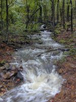 513770-creek4.jpg