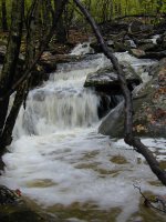 513771-creek9.jpg