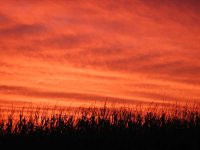 514459-Oct sunrise.jpg