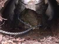 382566-Da Rock I.jpg