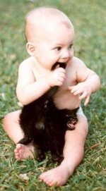 473590-baby with kitten.jpg