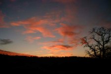 515169-SunsetatSunset.jpg