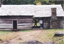 429222-dogtrot2.jpg