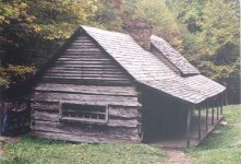 429224-dogtrot1.jpg