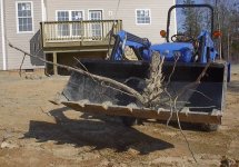 561389-stumpy.JPG