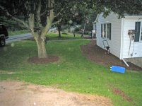 IMG_0051_edited (Custom).JPG