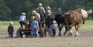 mennonitePlanting.jpg