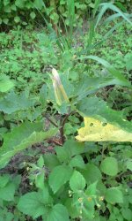 20130718_200427.jpg
