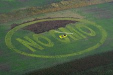 No GMO.jpg