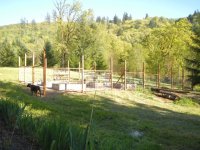 DSCN0605.jpg