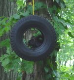 Tire Squirrel.JPG