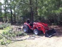 TYM Brush pile removal.jpg