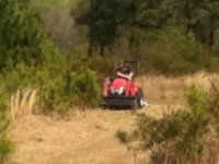 Wife bushhogging pine trees.jpg Wife bushhogging pine trees.jpg