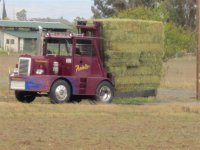 Hay squeeze.JPG