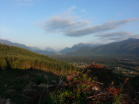 ForumRunner_20130813_183244.png