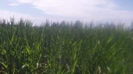 100_0232.jpg