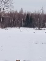 IMG_20250312_171334707.jpg