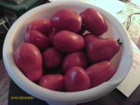 IMAG0795.JPG