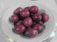 IMAG0799.JPG