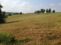 IMG_0292.jpg