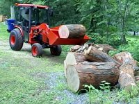 Kubota B3030 & Big Maple Rounds.jpg