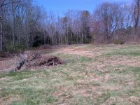 Woodstock-20130422-00045.jpg