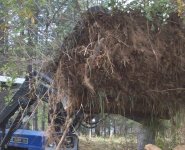 rhino-dirt pile 012.JPG