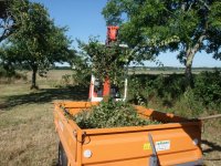 DSCF4564 [Résolution de l'écran].JPG
