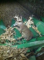 Ground Round Venison.jpg