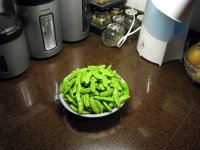 2nd-picking-SugarSnapPeas-1.jpg