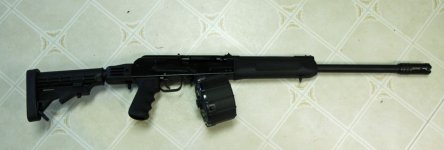 saiga 1.jpg
