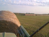 IMG-20130722-00334.jpg