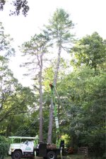 image-4225140805.jpg