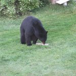 IMG_0179.JPG